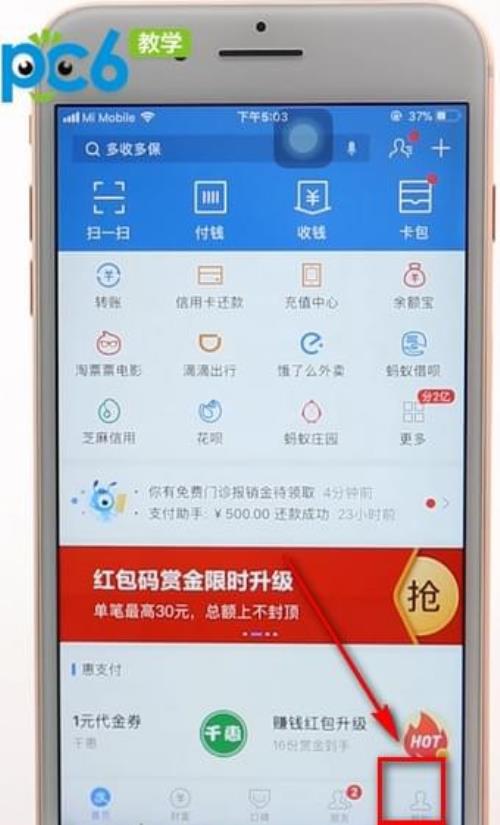 支付宝新号养号注意事项 (支付宝新号养)-初仟社区